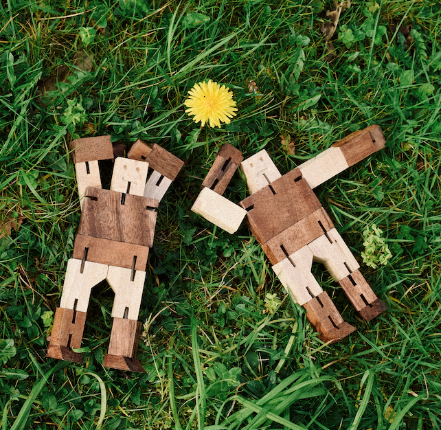 Deux casse-têtes Robot en bois posés dans l'herbe, à côté d'un pissenlit
