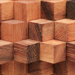 Casse-tête Big Top en bois – détail des pièces imbriquées