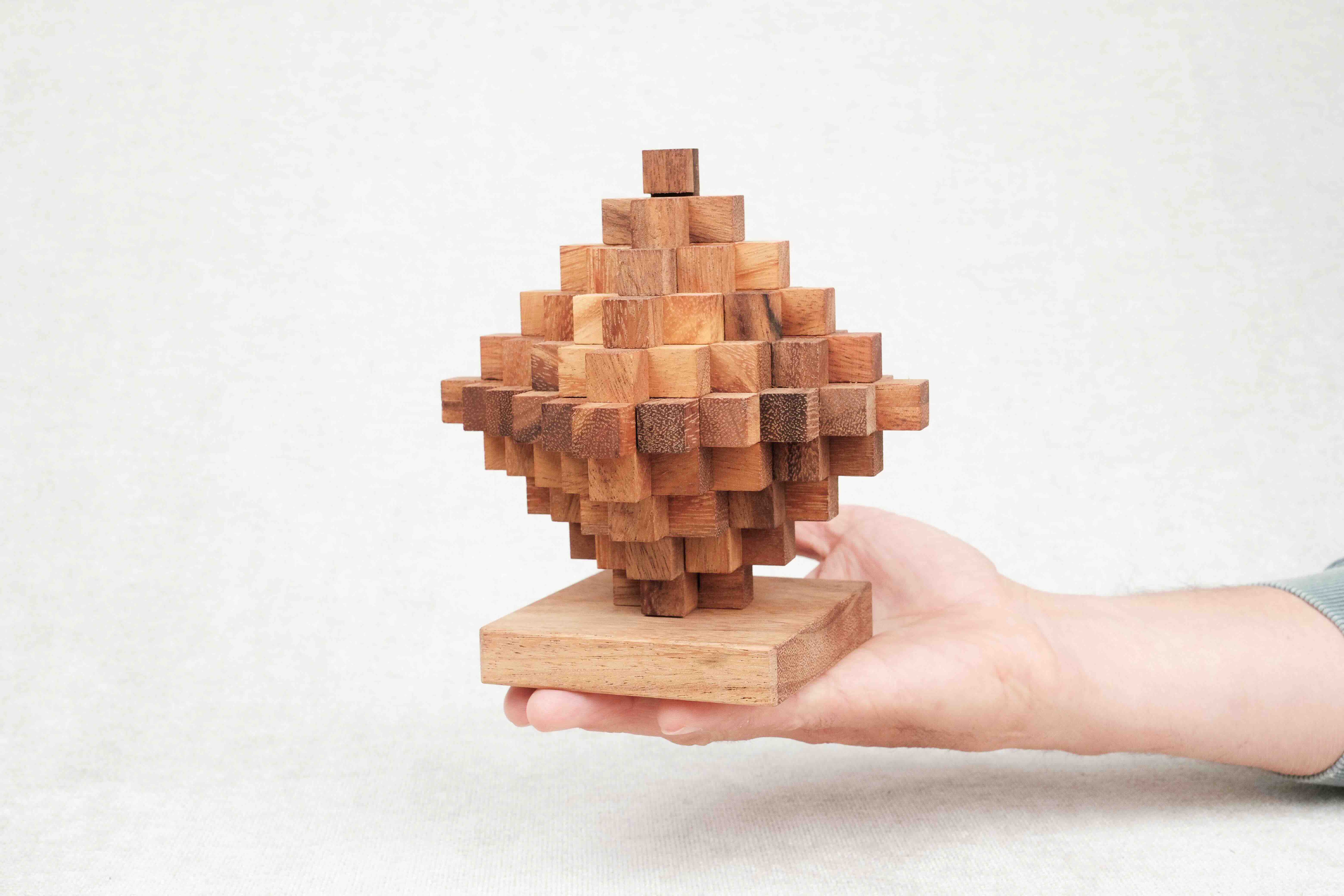 Casse-tête en bois Big Top tenu dans une main – puzzle éducatif niveau challenge suprême