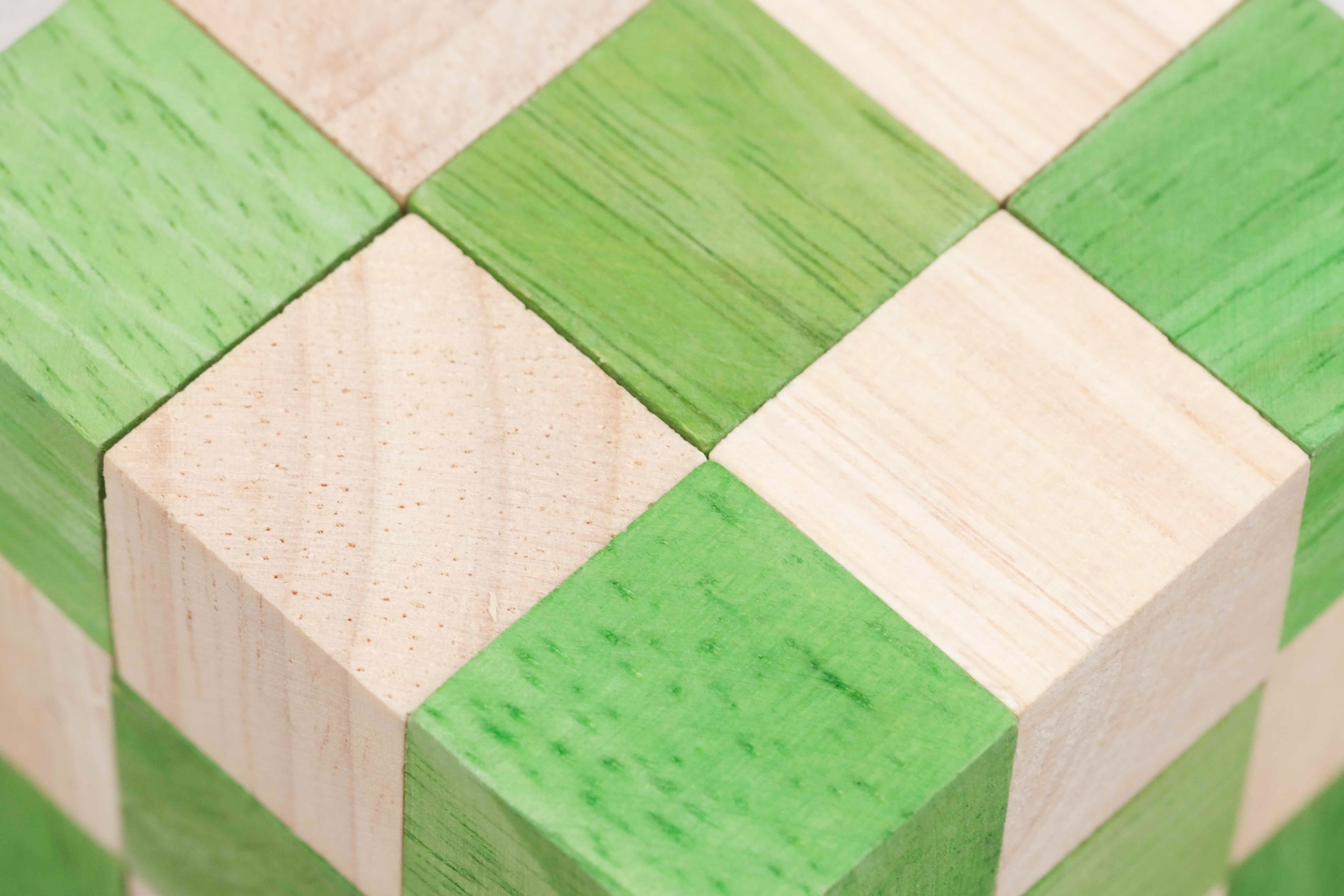 Zoom Cube Serpent vert et naturel, vue rapprochée – Jeux Faugère