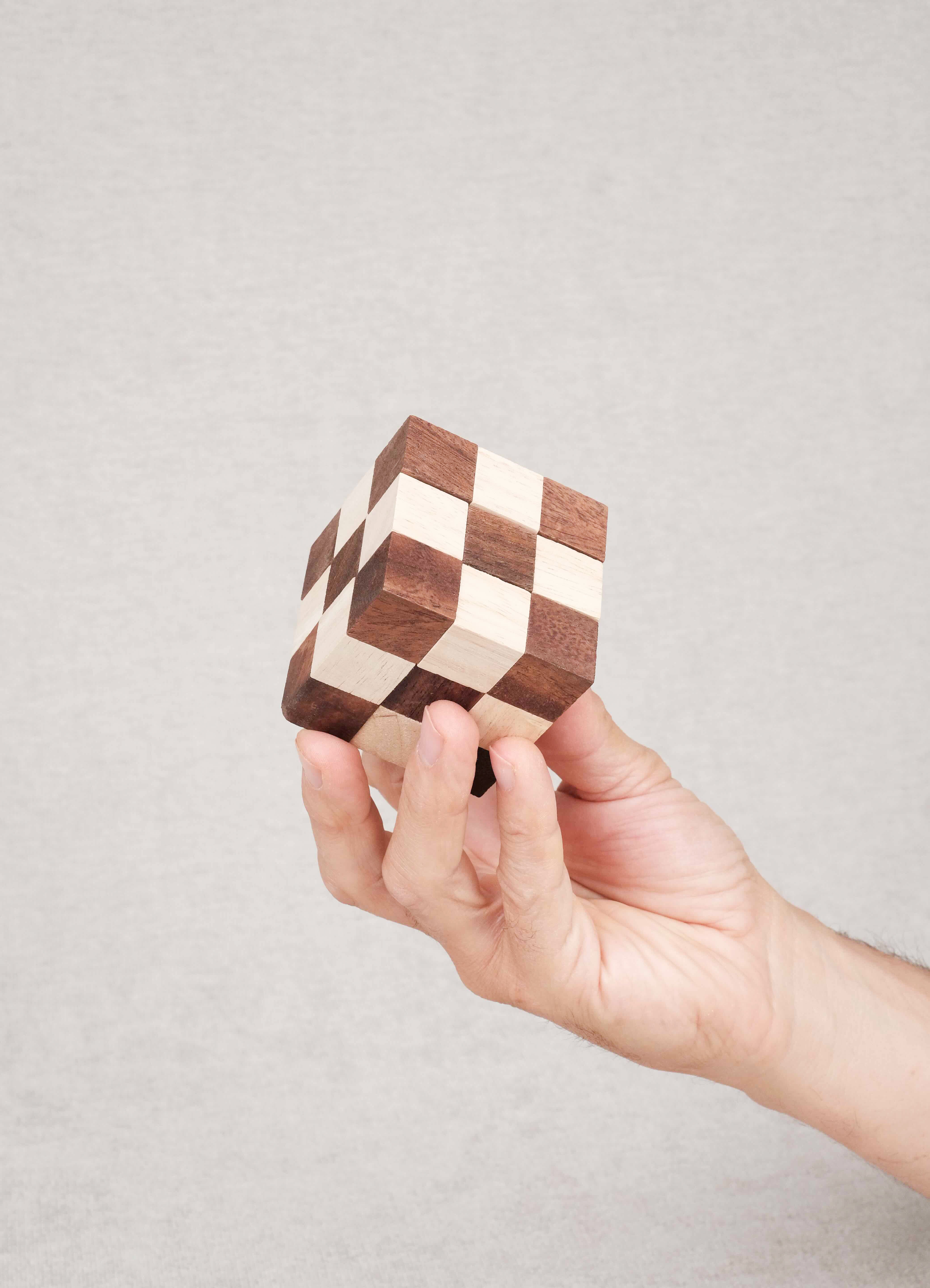 Cube Serpent marron tenu à la main – Jeux Faugère