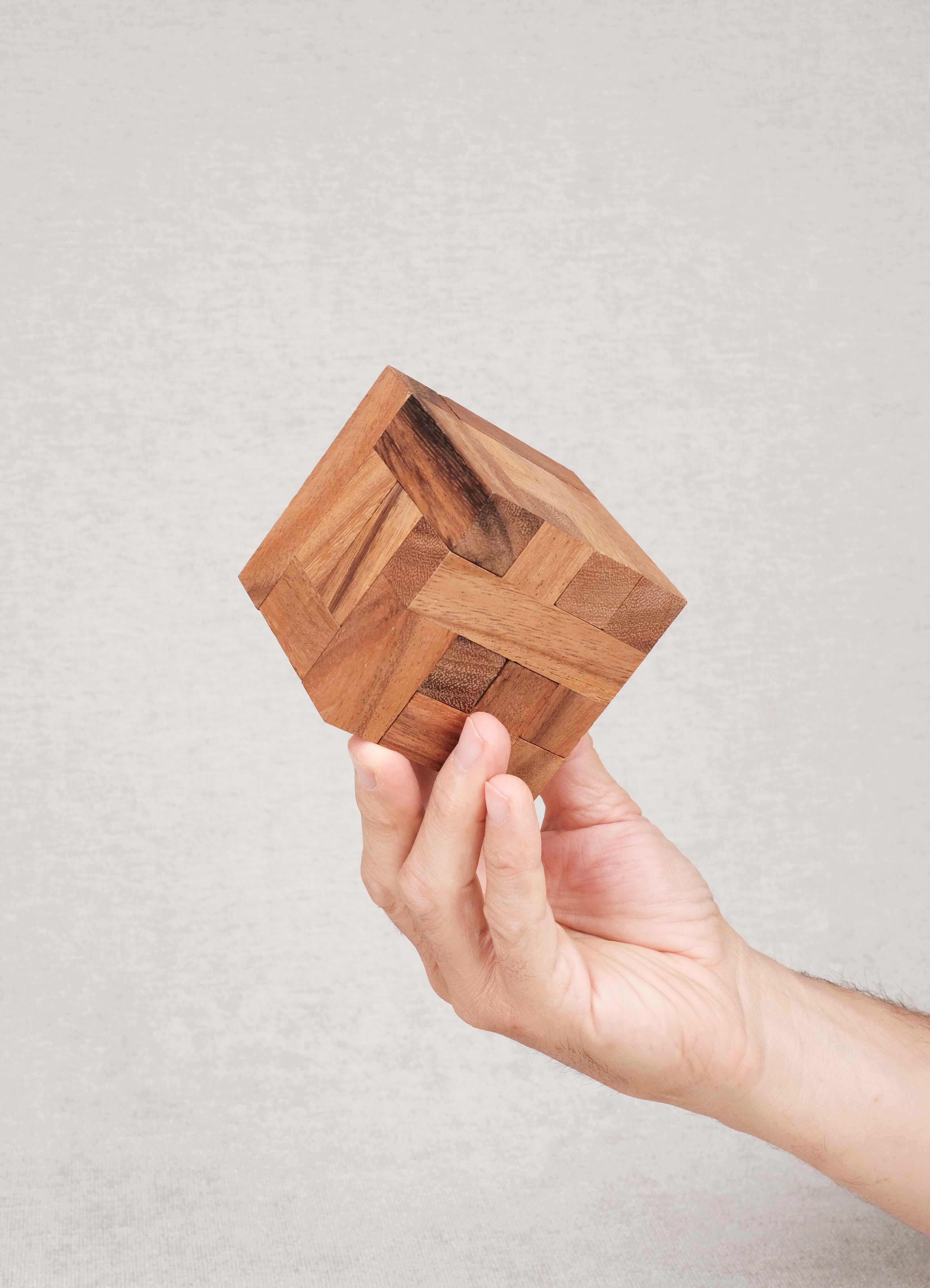 Casse-tête en bois Convolution tenu dans une main – puzzle éducatif niveau challenge suprême dès 8 ans