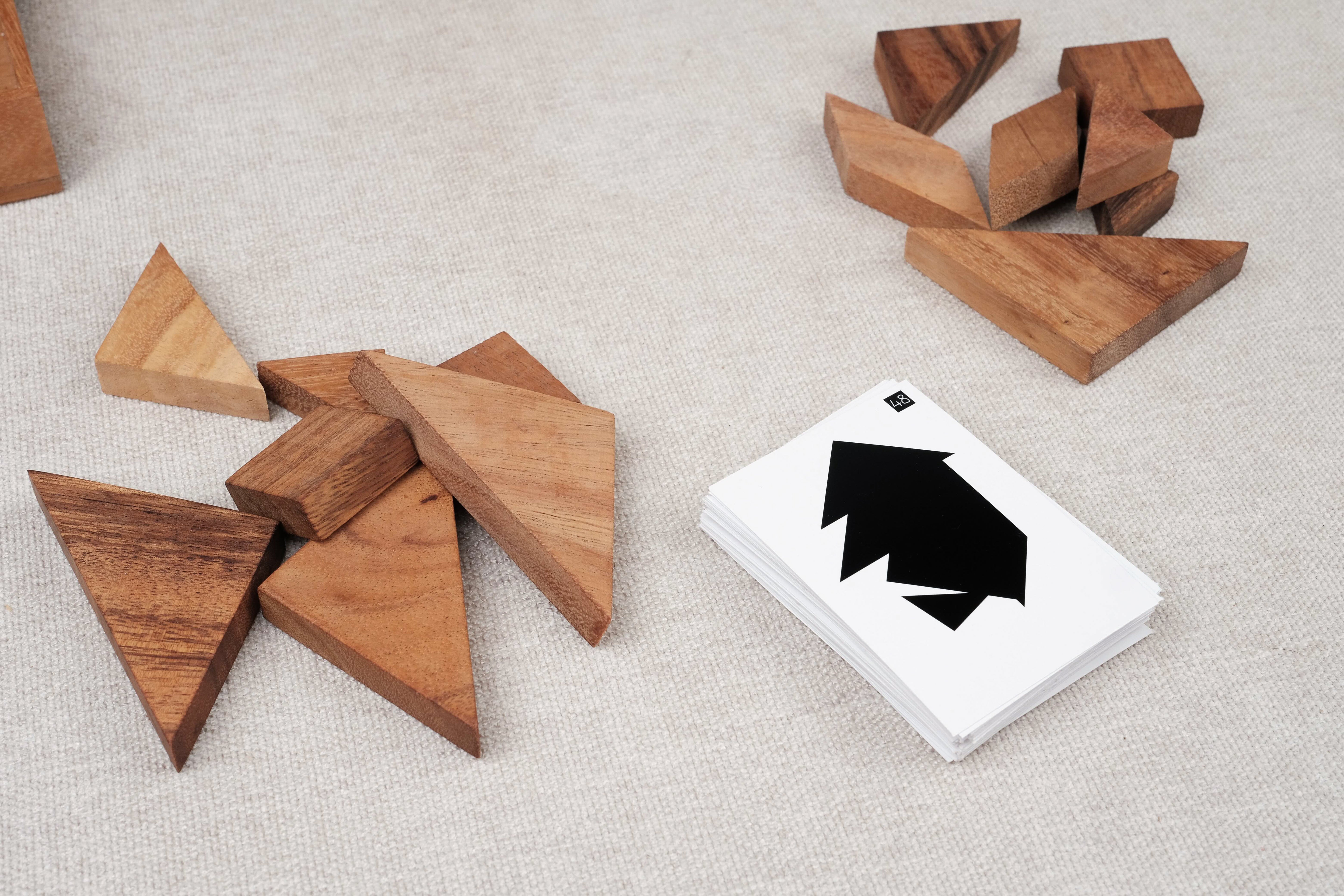 Jeu Double Tangram en bois – casse-tête pédagogique avec cartes silhouettes