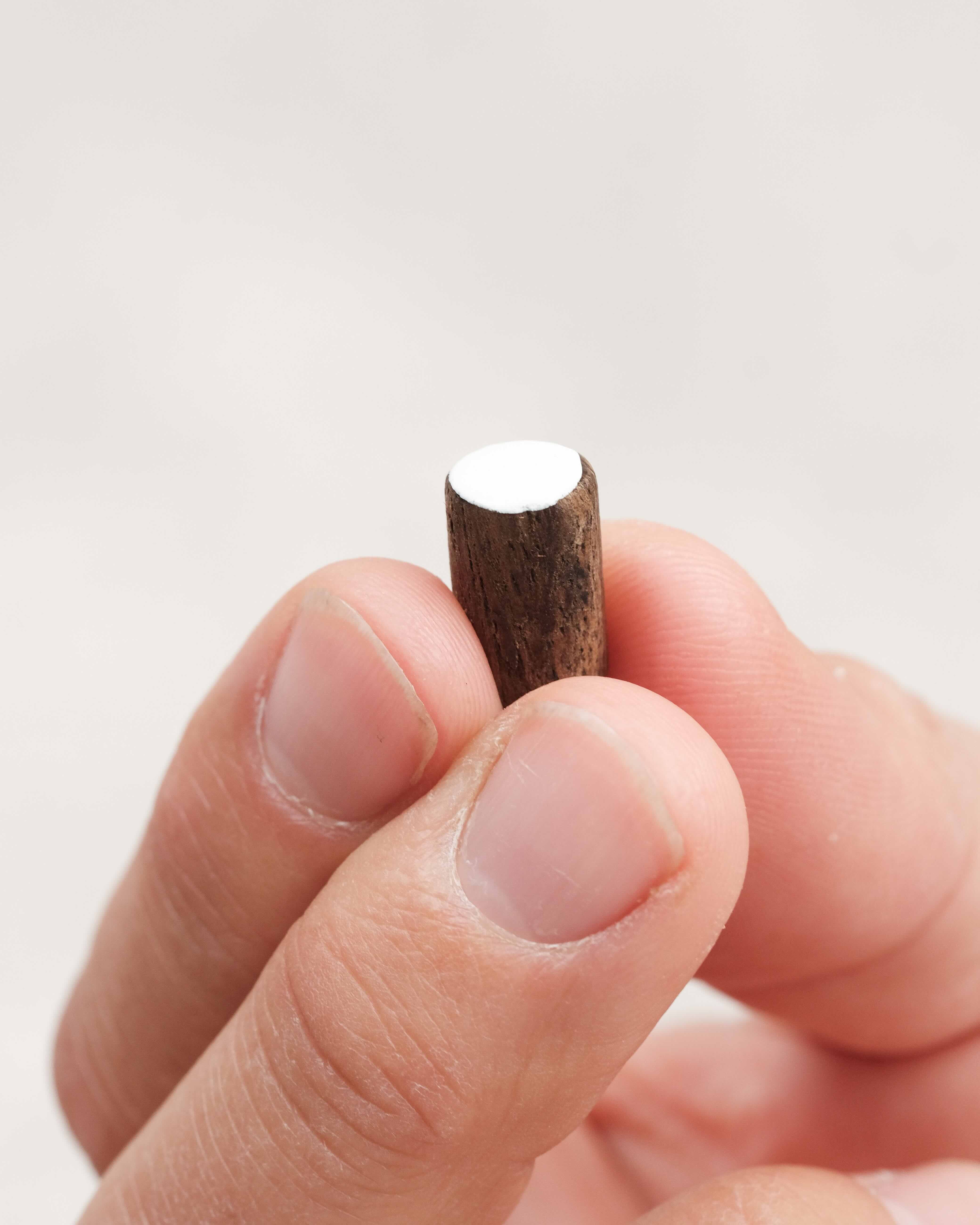 Main tenant un pion réversible du jeu Othello