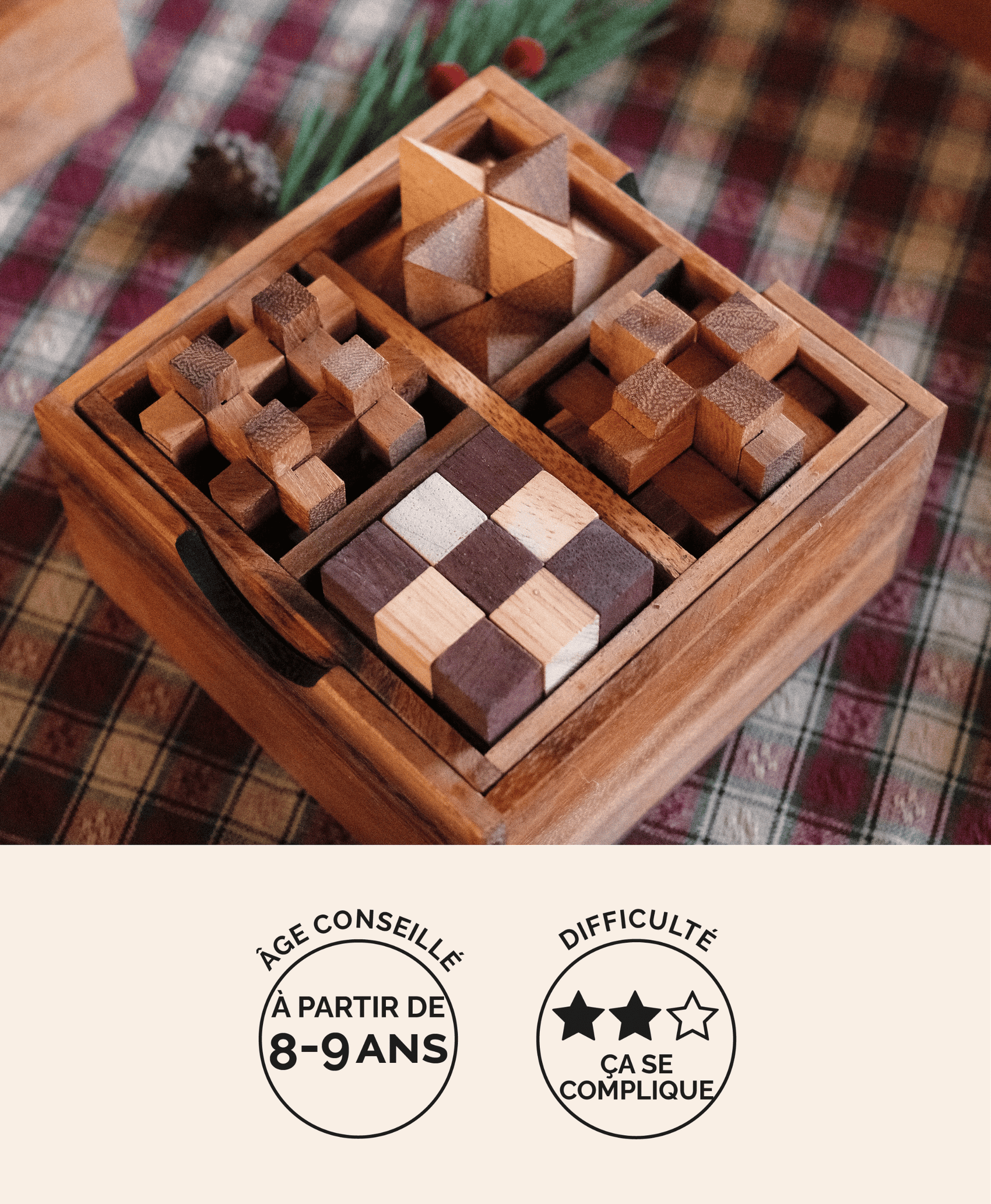 Coffret 4 casse-têtes en bois Jeux Faugère – idée cadeau, niveau intermédiaire dès 8 ans