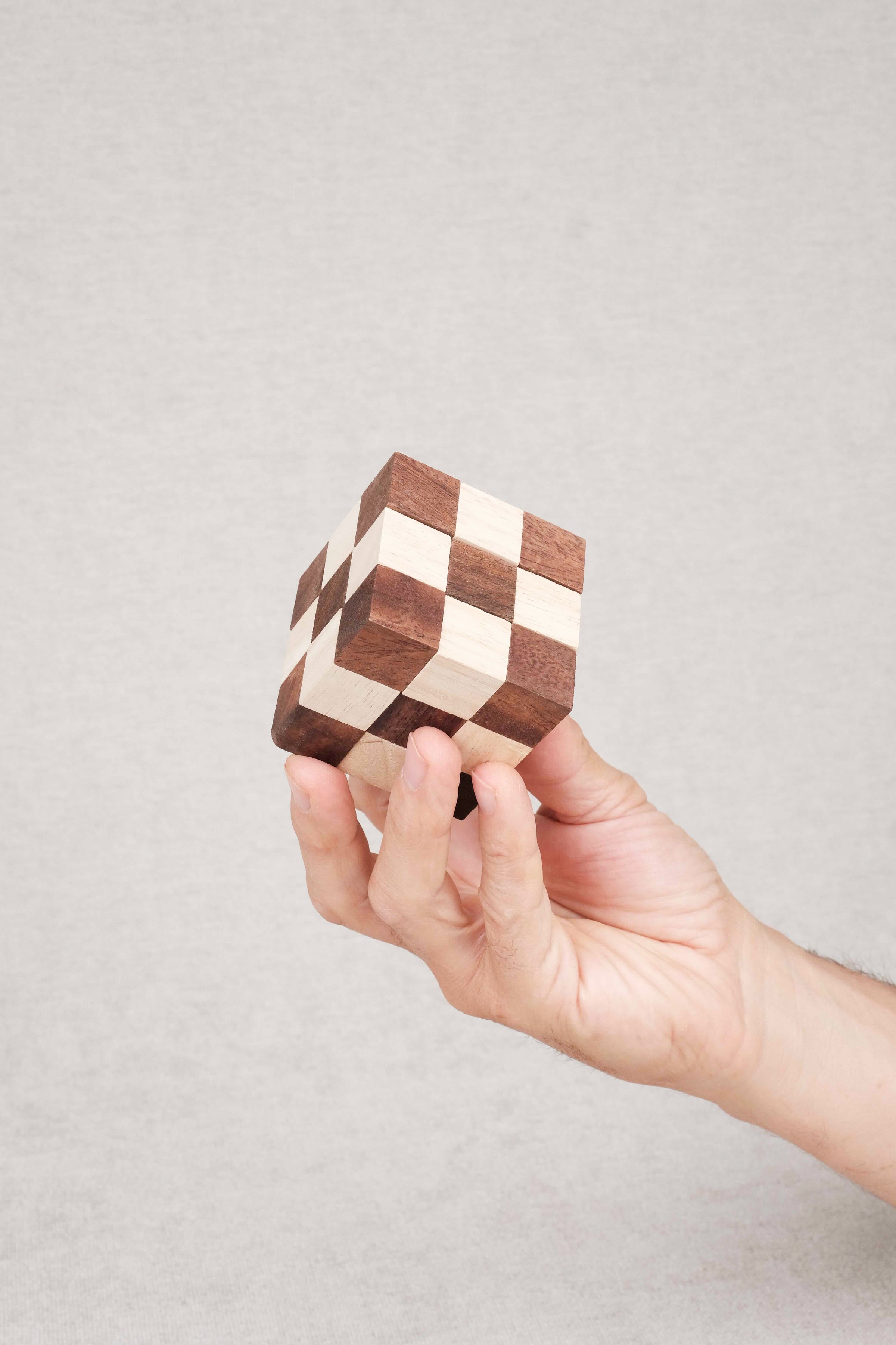 Cube Serpent marron tenu à la main – Jeux Faugère