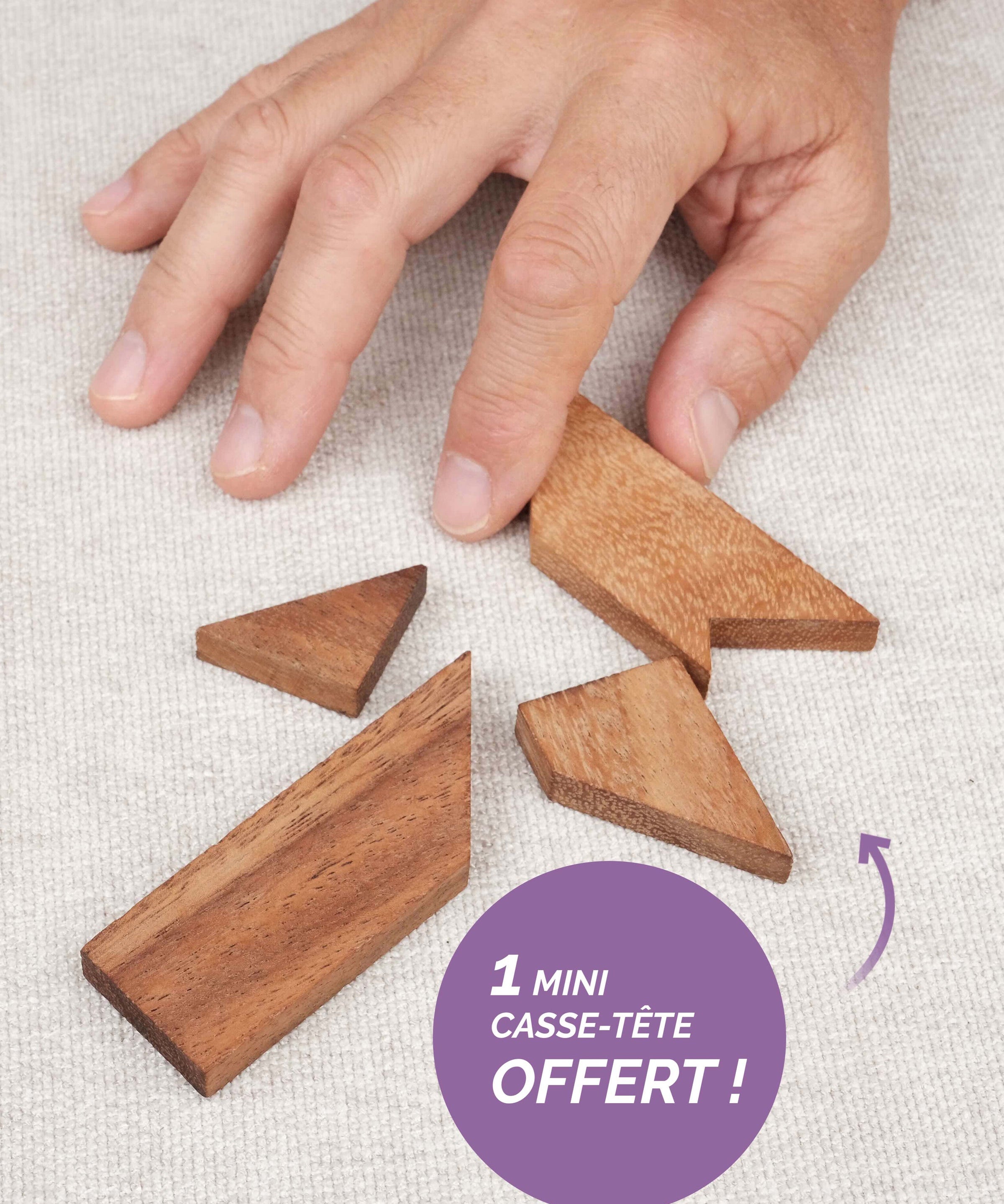Mini casse-tête en bois Le T offert