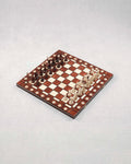 Nos échecs